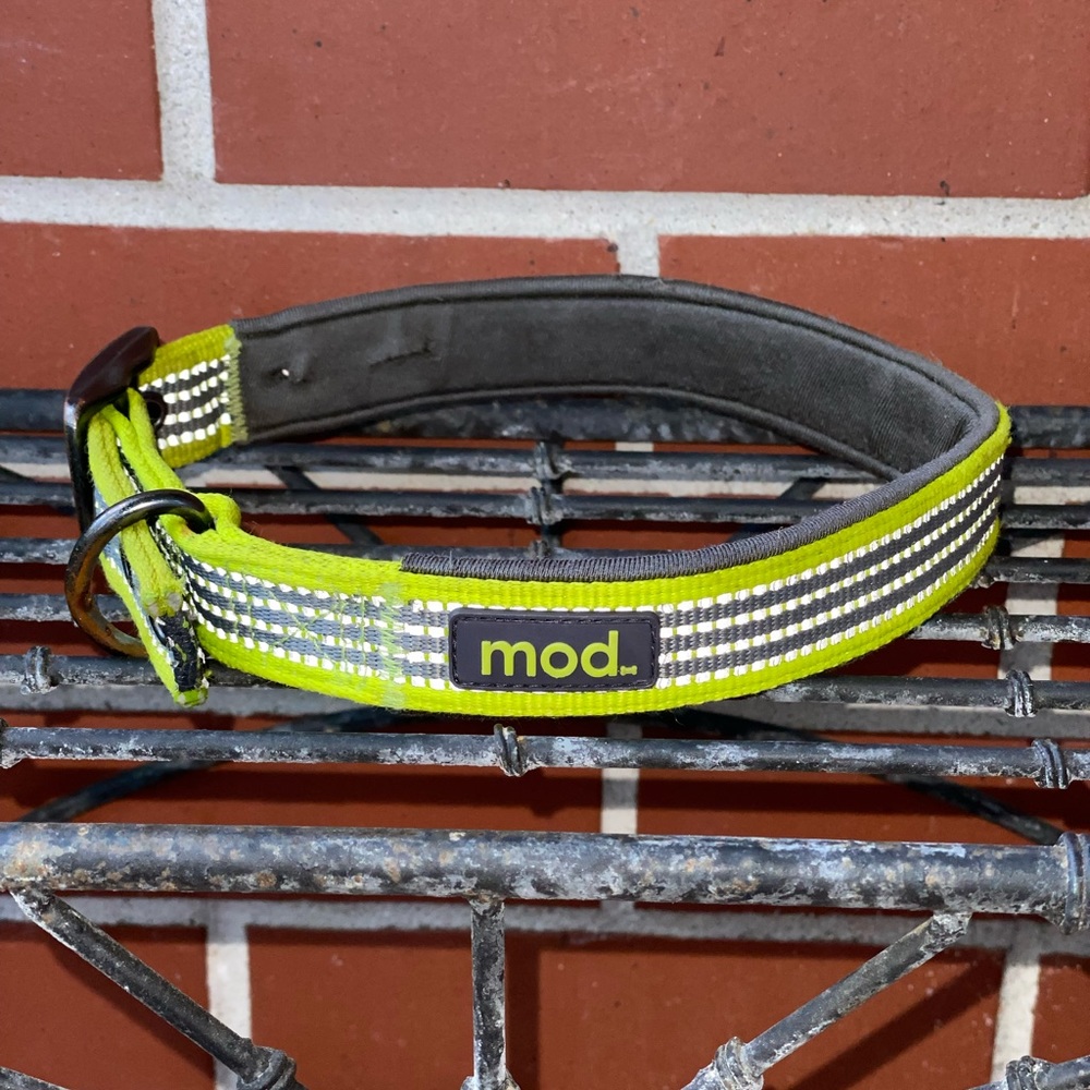 MOD Reflective Nylon Large Dog collar!